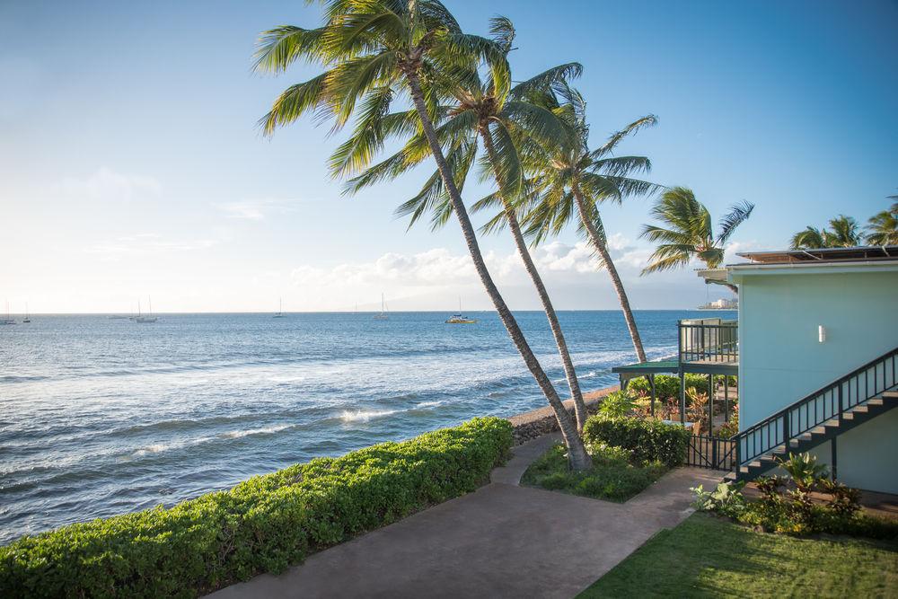 The Makai Inn - photo 24