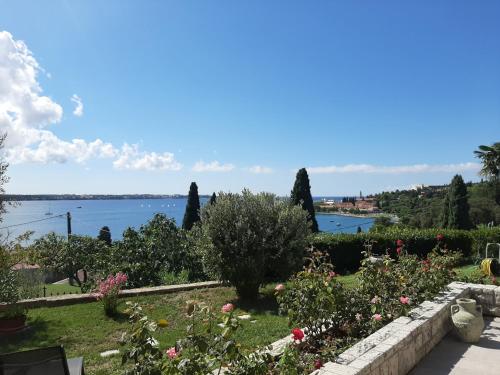 Apartment Solare — 4-Star Luxury Hotel in Portoroz, Slovenia