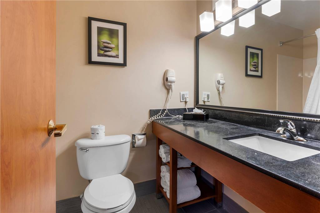 Comfort Suites North Dallas - photo 32