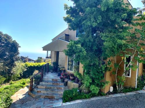 Rent Laguna Beach Sanctuary — Laguna Beach — photo 3