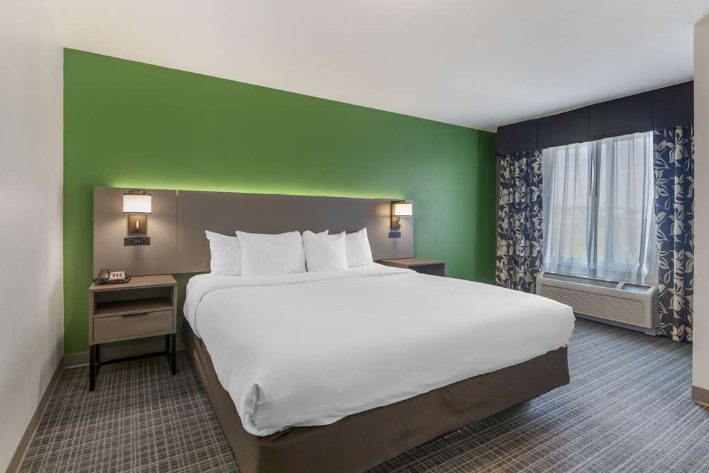 Comfort Suites Conference Center Rapid City - photo 26