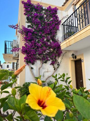 Mar Mediterraneo Vera Playa in Vera, Spain