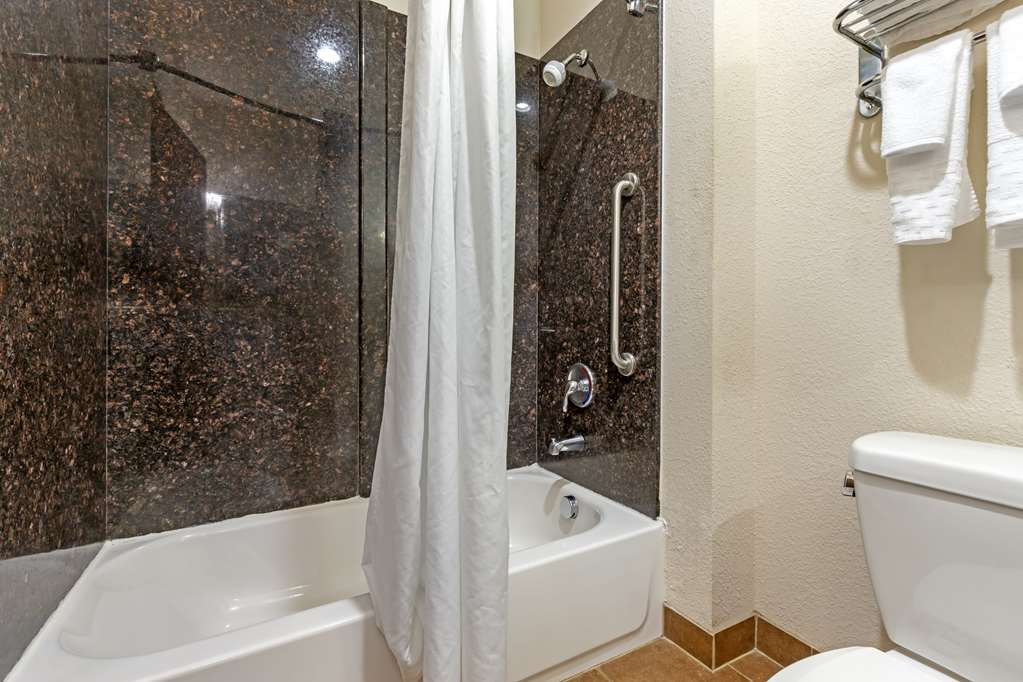 Best Western Plus Greenville South - photo 32