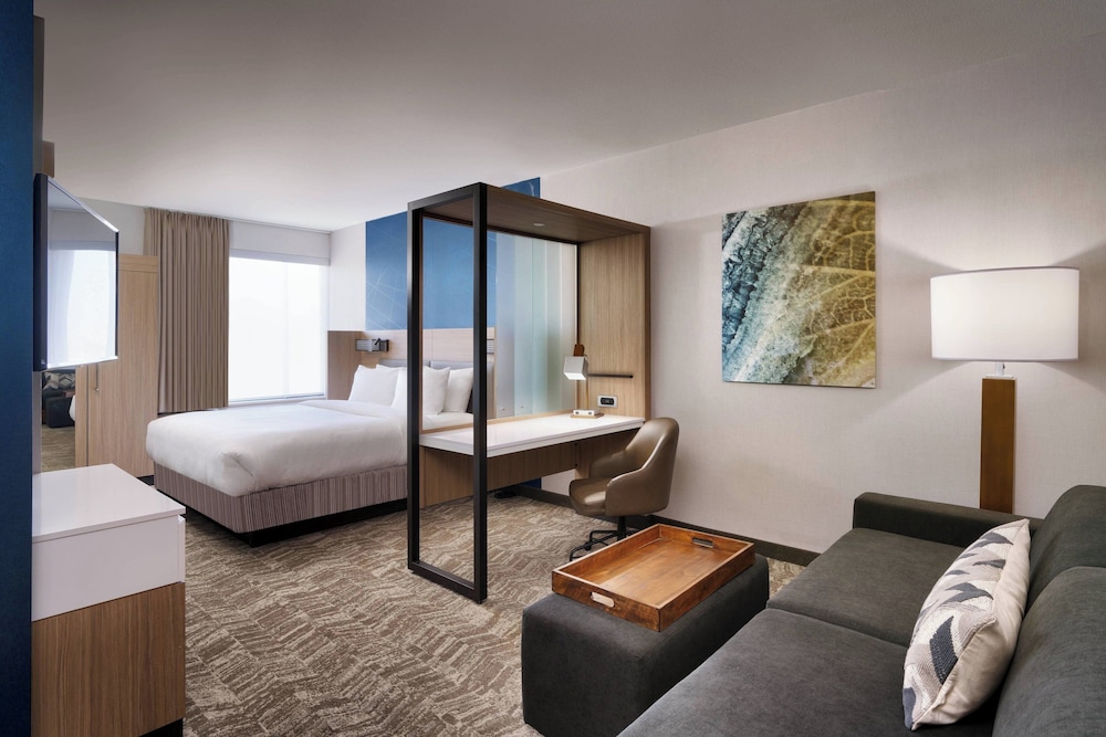 SpringHill Suites by Marriott El Paso Airport - photo 14