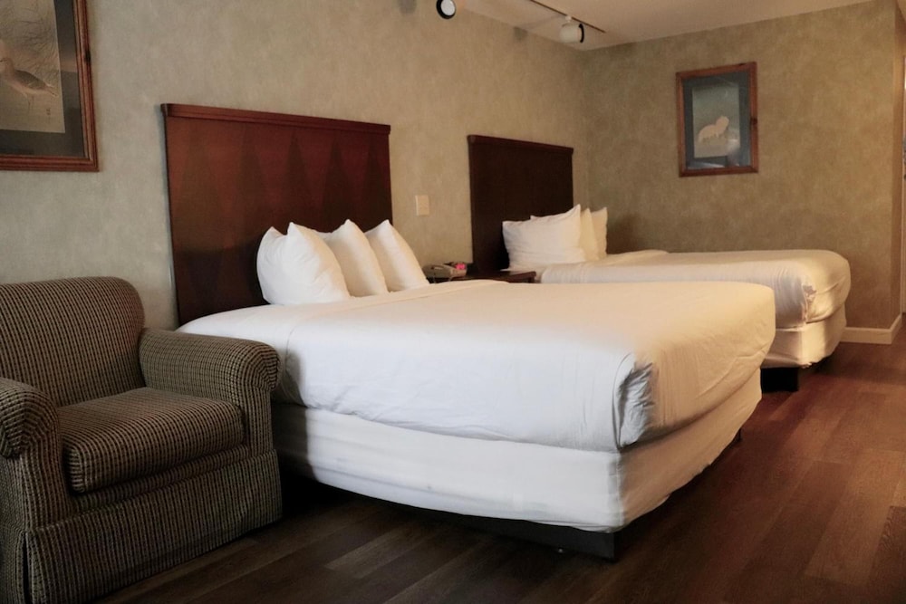 Senator Inn & Spa - photo 15