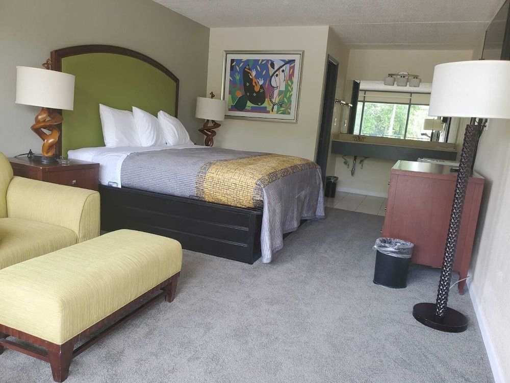 Palmetto Inn & Suites - photo 12