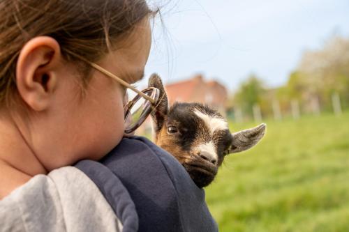 Yourte dans une ferme pédagogique - carbon neutral hotel in Lievin
