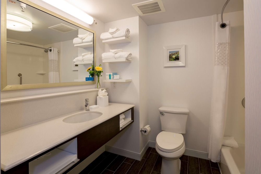 Hampton Inn Santa Barbara Goleta - photo 30