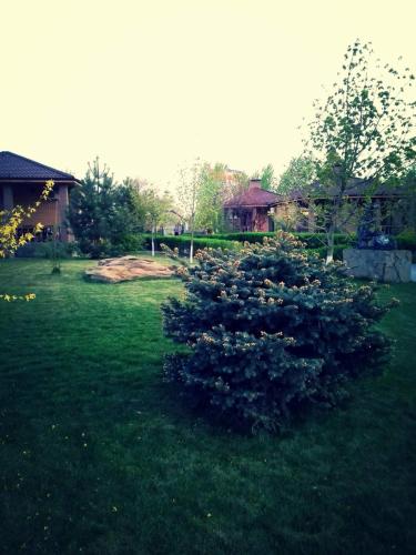 Almaz Akva Plaza Recreation Camp 4747437 — Volgodonsk