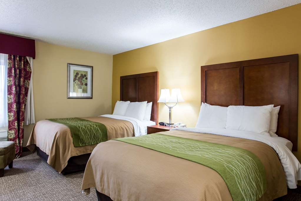 Comfort Inn Columbia West - photo 7