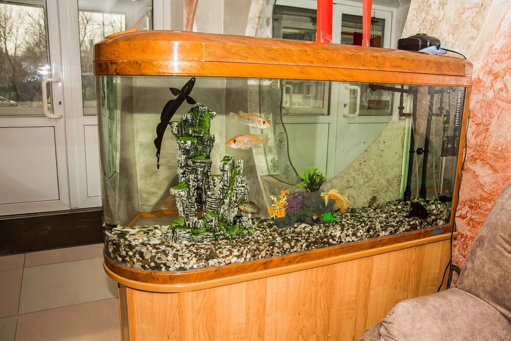 Yubileinaya Hotel hostel in Ussuriysk, Russia