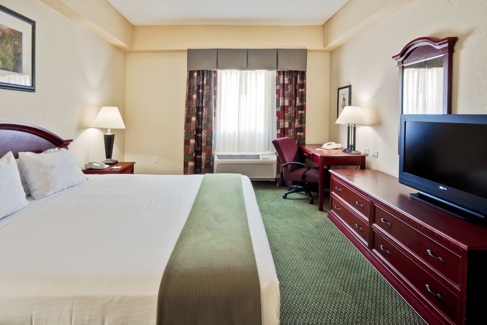 Holiday Inn Express & Suites West Palm Beach Metrocentre by IHG - photo 15