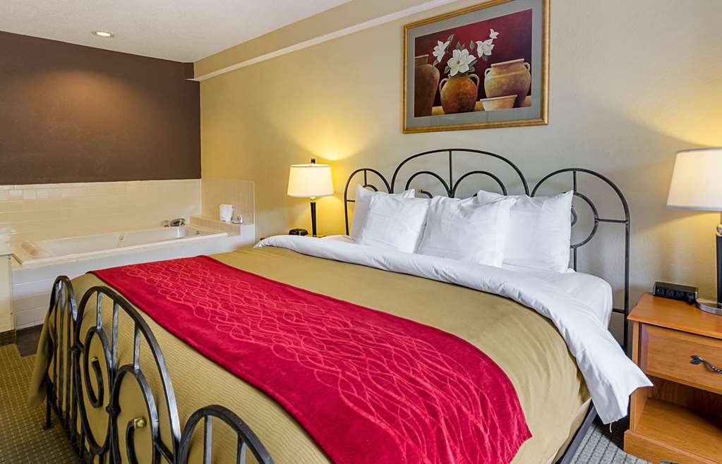Quality Suites Altavista Lynchburg South - photo 13