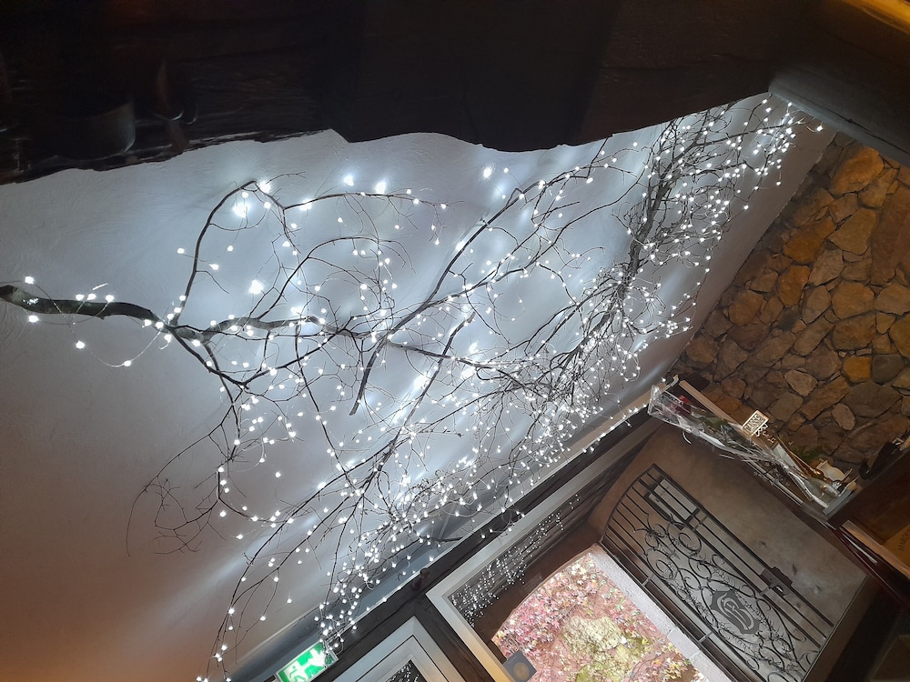 Hôtel Berceau du Vigneron - carbon neutral hotel in Turckheim