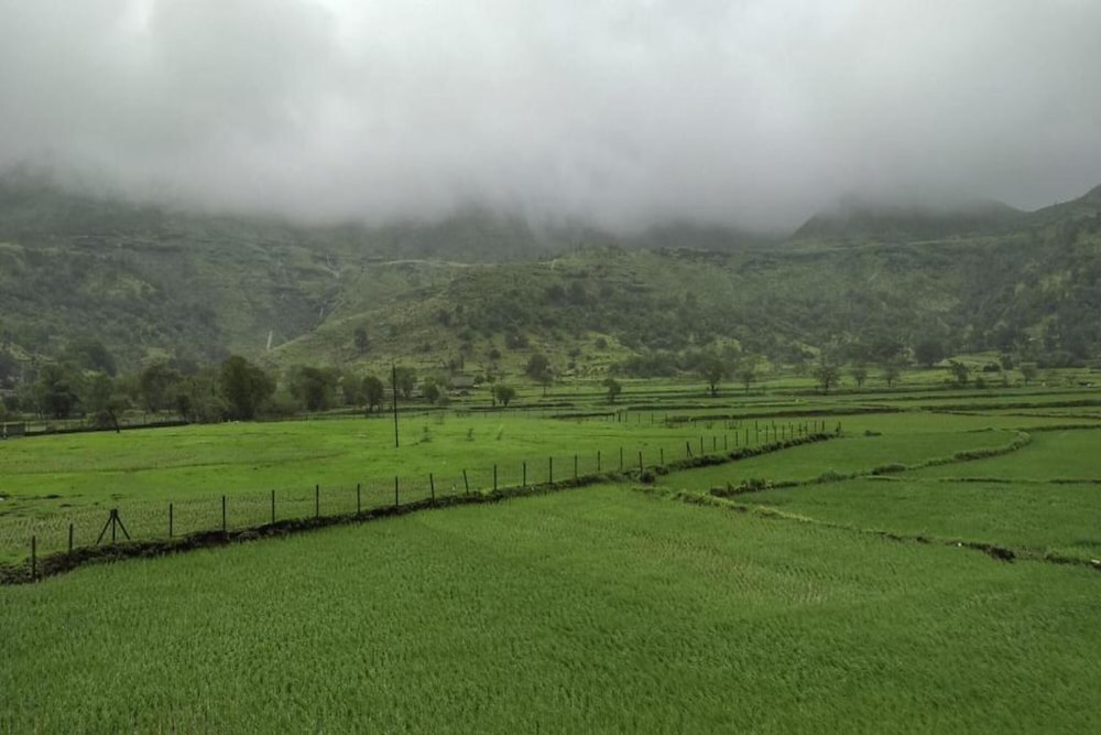 Touchwood Bliss in Igatpuri, India