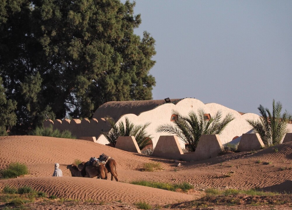 L’Oasis Zarga in Douz, Tunisia