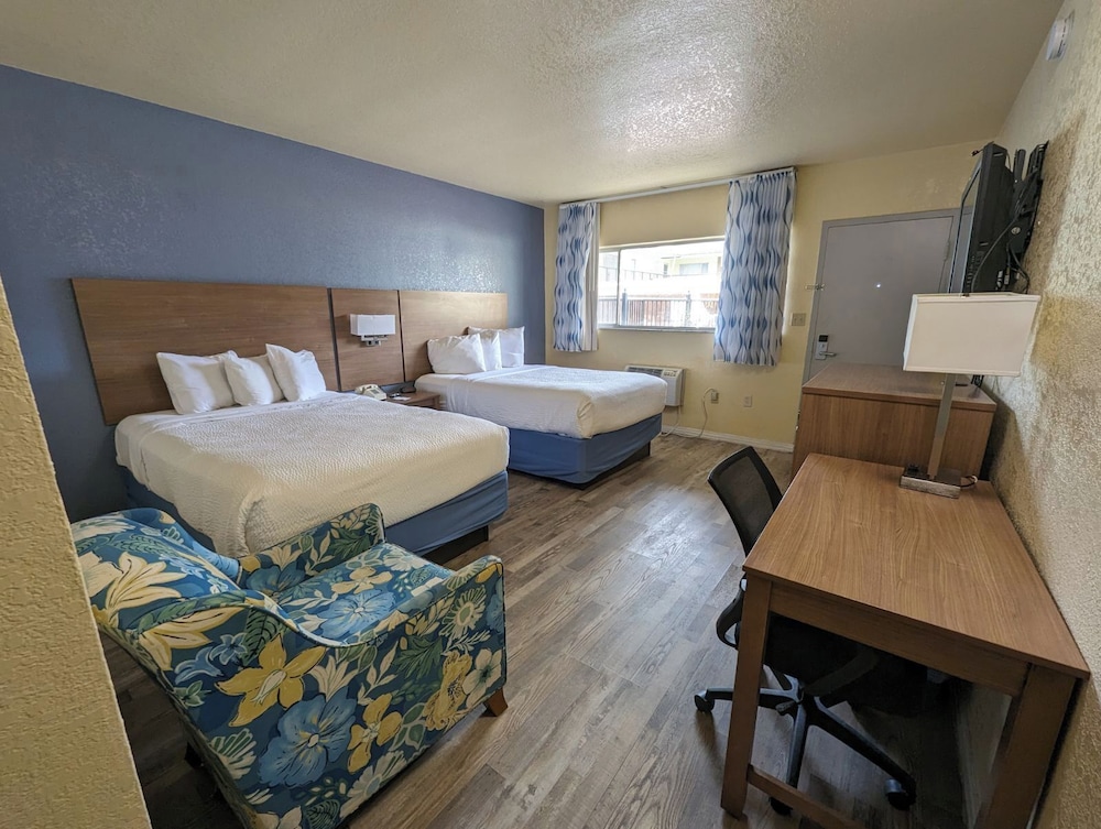 University Inn - photo 4
