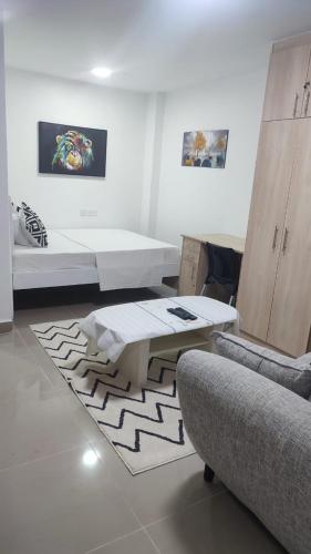 Newly Stadeview studios Near Nyayo