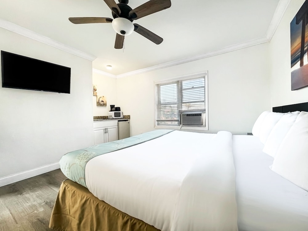 Hollywood Beach Hotels - photo 13