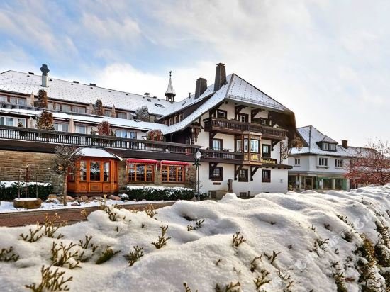 Adler Häusern Gourmet & Spa Hotel — hotel in Hausern