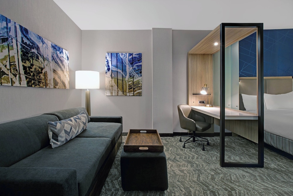SpringHill Suites by Marriott Franklin Cool Springs - photo 15