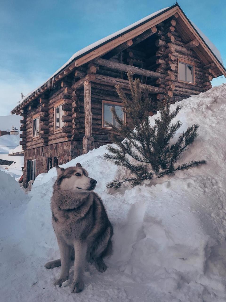 Mountain Cricket Chalets and Apartments Gudauri — 4-Star Luxury Hotel in Gudauri, Georgia