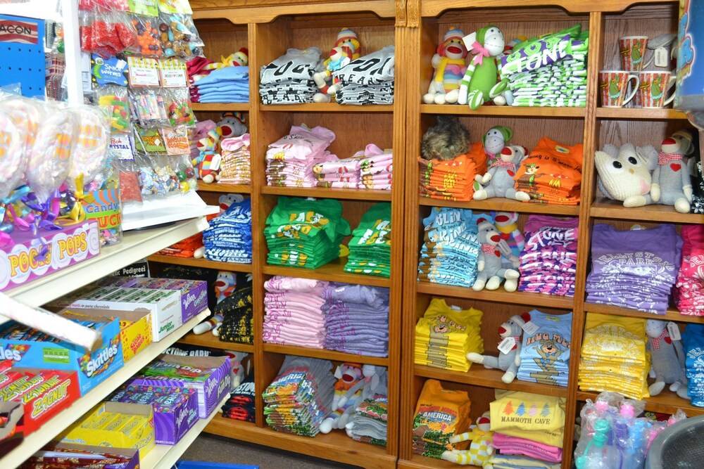 Yogi Bear's Jellystone Park Camp Resort - photo 35
