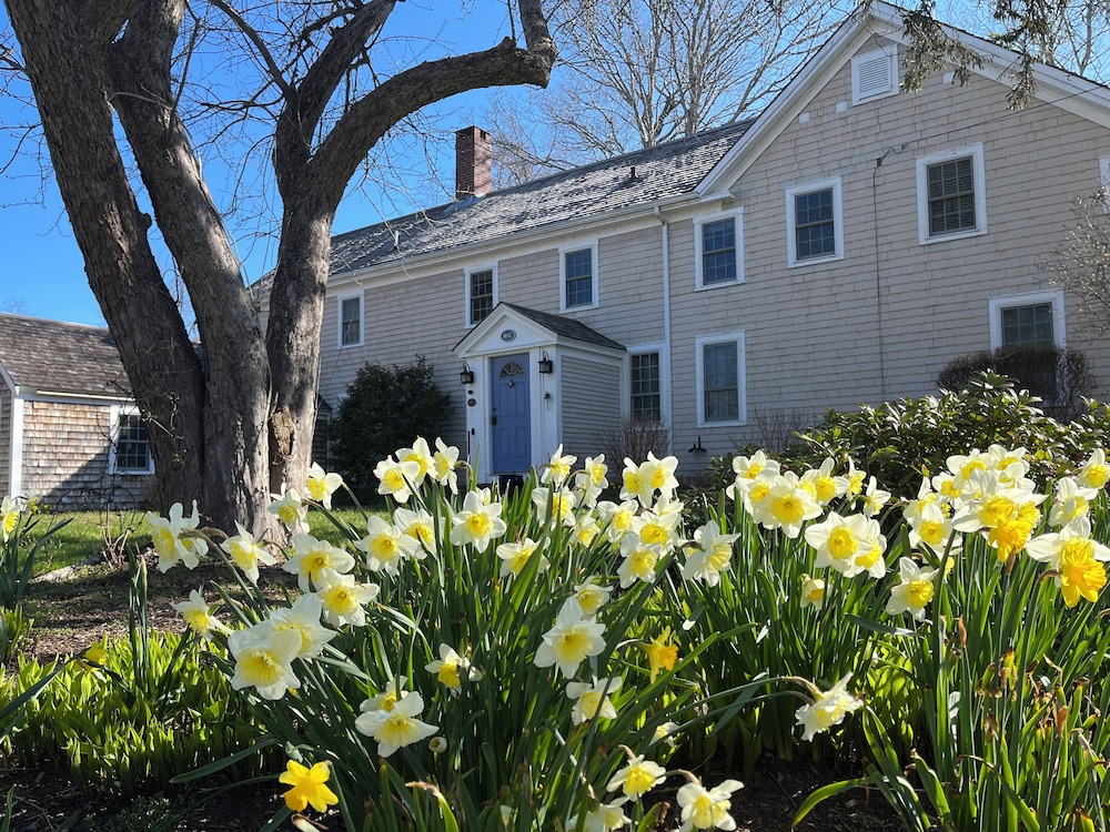 Sea Meadow Inn - photo 65
