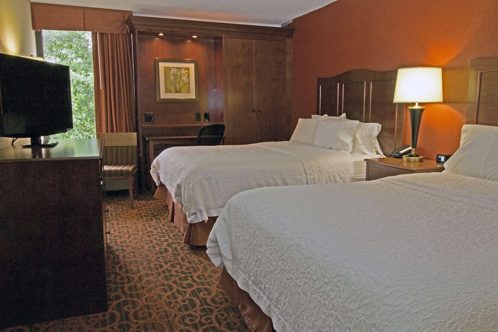 Hampton Inn Norfolk Chesapeake - photo 10