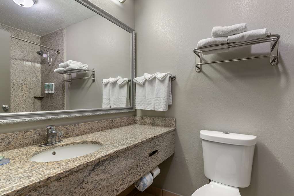 Best Western Auburn Opelika Inn - photo 26