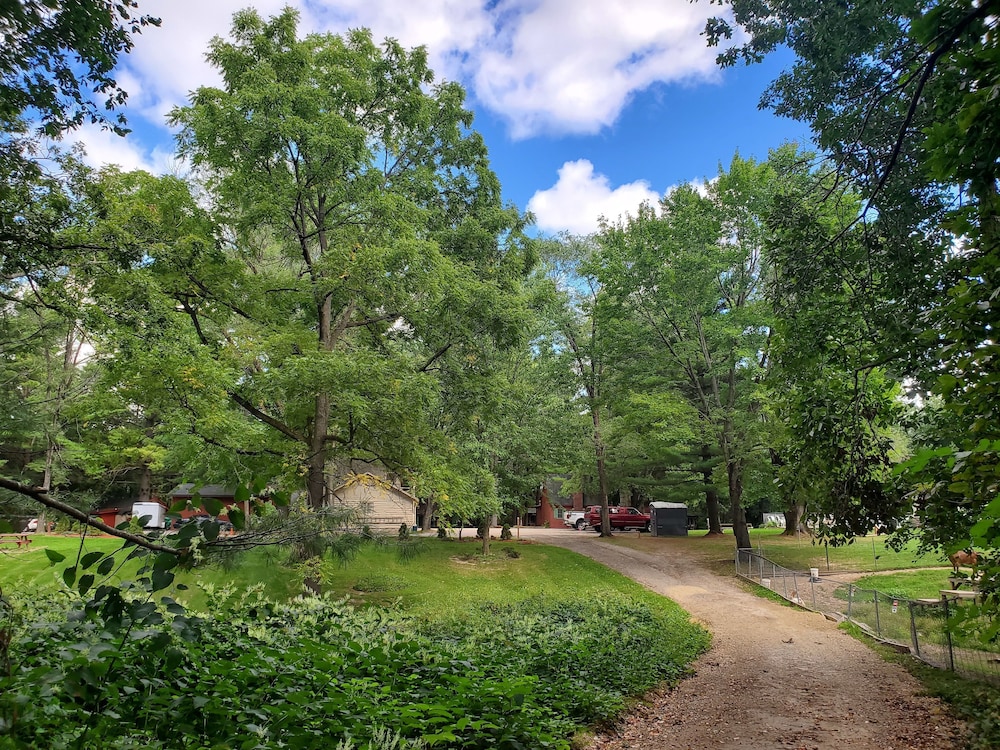 Birchcliff Resort - photo 121