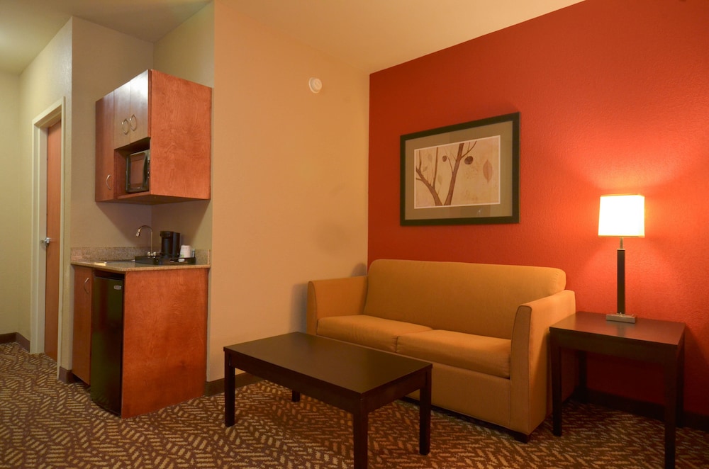 Holiday Inn Express Hotel & Suites Pine Bluff Pines Mall by IHG - photo 19