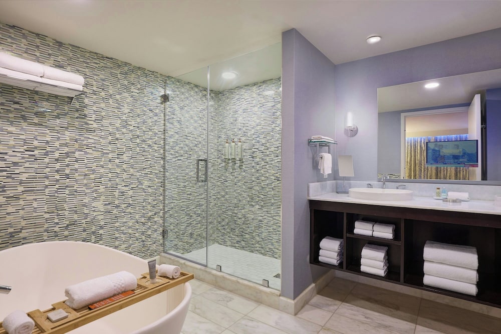 Renaissance Arlington Capital View Hotel - photo 13