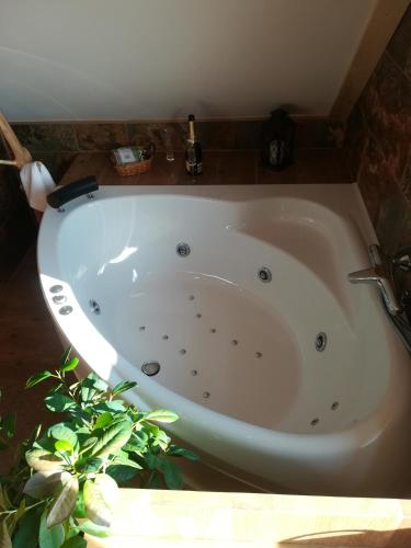 Apartmán Life in Nature — 4-Star Luxury Hotel in Dubne, Czech Republic