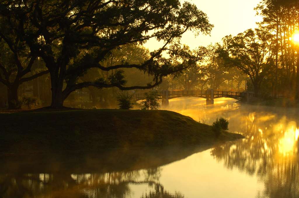 Montage Palmetto Bluff - photo 17