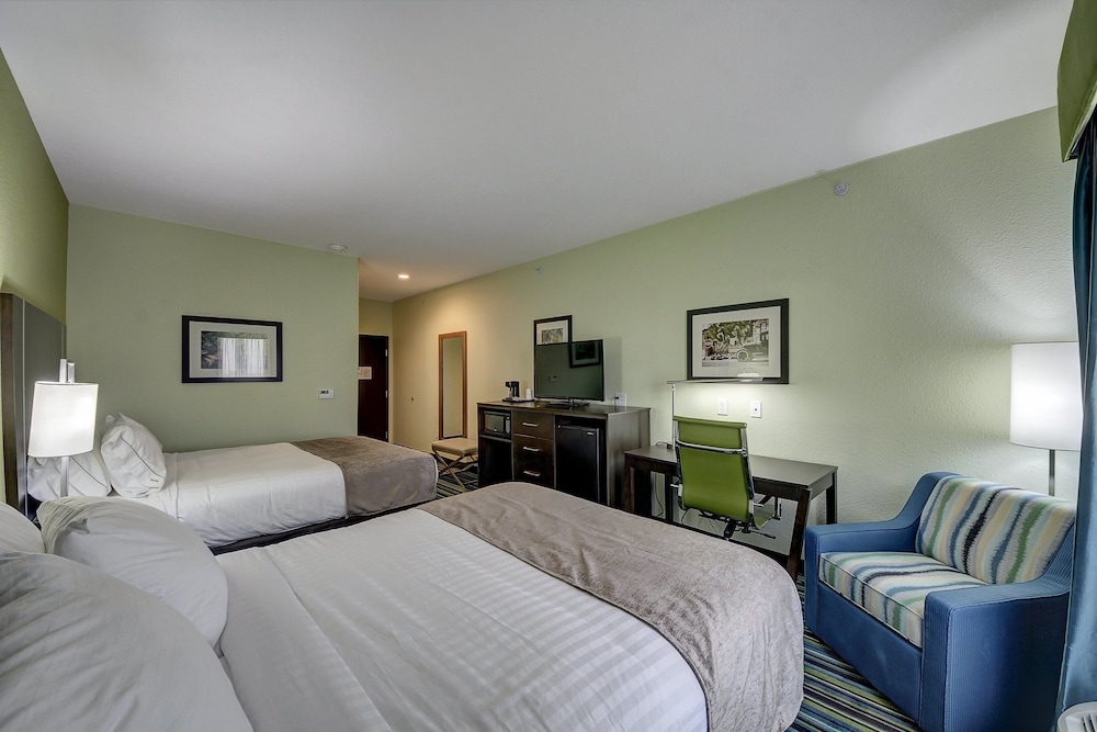 Holiday Inn Express & Suites Carrizo Springs by IHG - photo 9