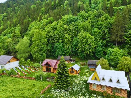 Linden Grove in Unknown City, Ukraine