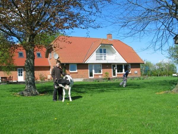 Hveddegaard Farm Holiday — hotel in Kibaek