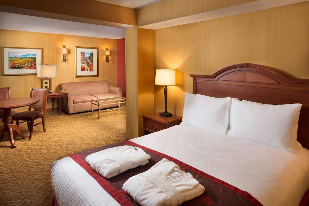 DoubleTree by Hilton Asheville Biltmore - photo 45