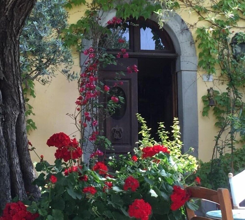 Il Sole Del Sodo — Cortona