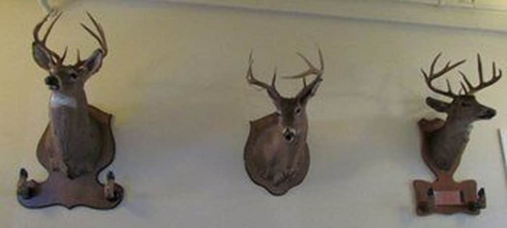 MacArthur Inn - photo 10