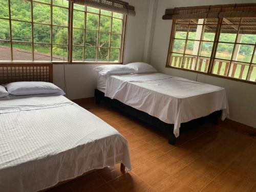 Chalet — Prado — photo 3