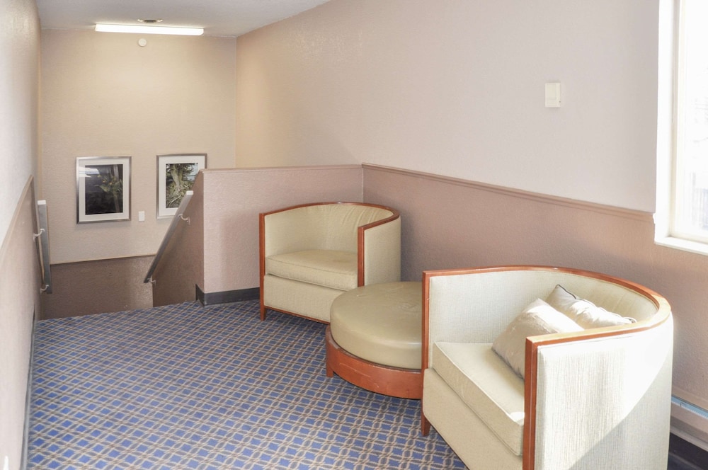 Bison Inn & Suites on University - photo 13