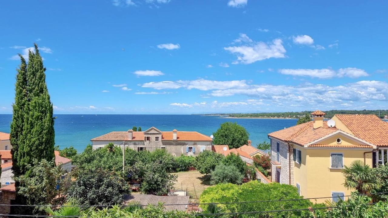 Davor in Novigrad, Croatia