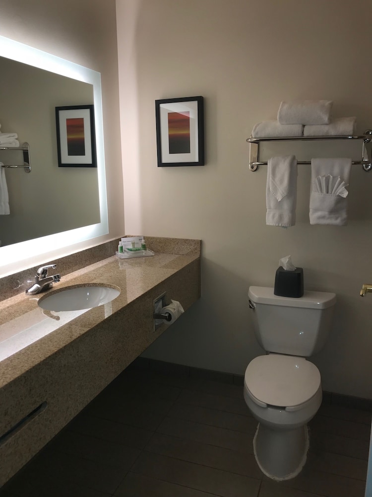Holiday Inn & Suites Ann Arbor Univ Michigan Area by IHG - photo 29