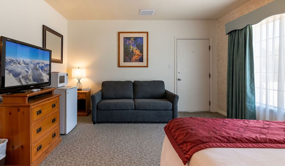 Swiss Alps Inn - photo 28