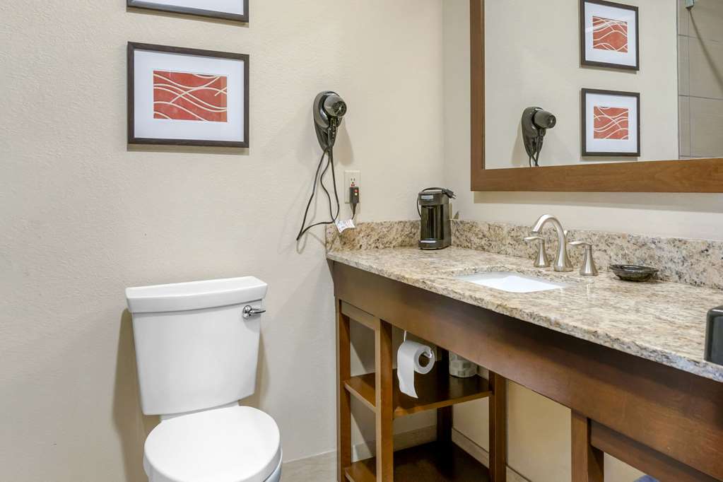 Comfort Inn Sault Sainte Marie - photo 34