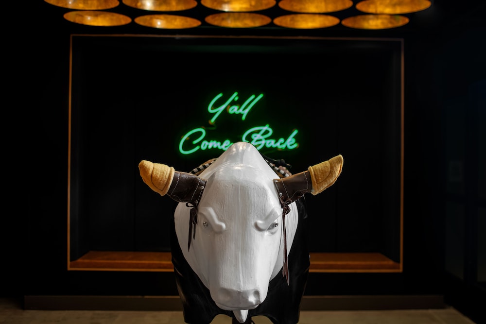 Moxy Houston Downtown - photo 2