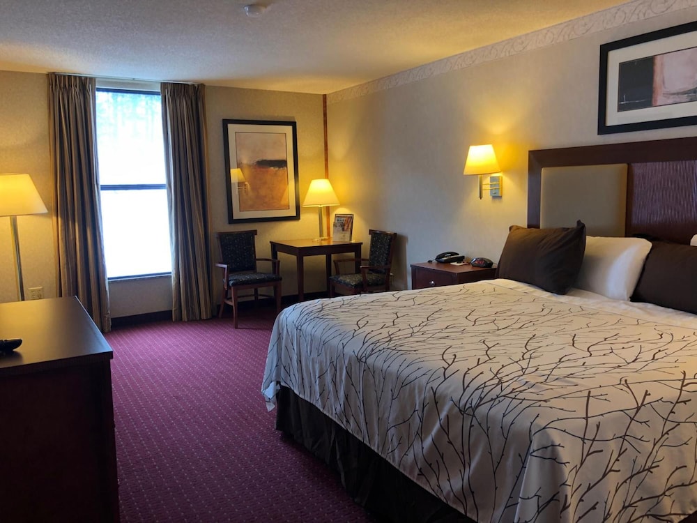 Mineral Palace Hotel & Casino - photo 11