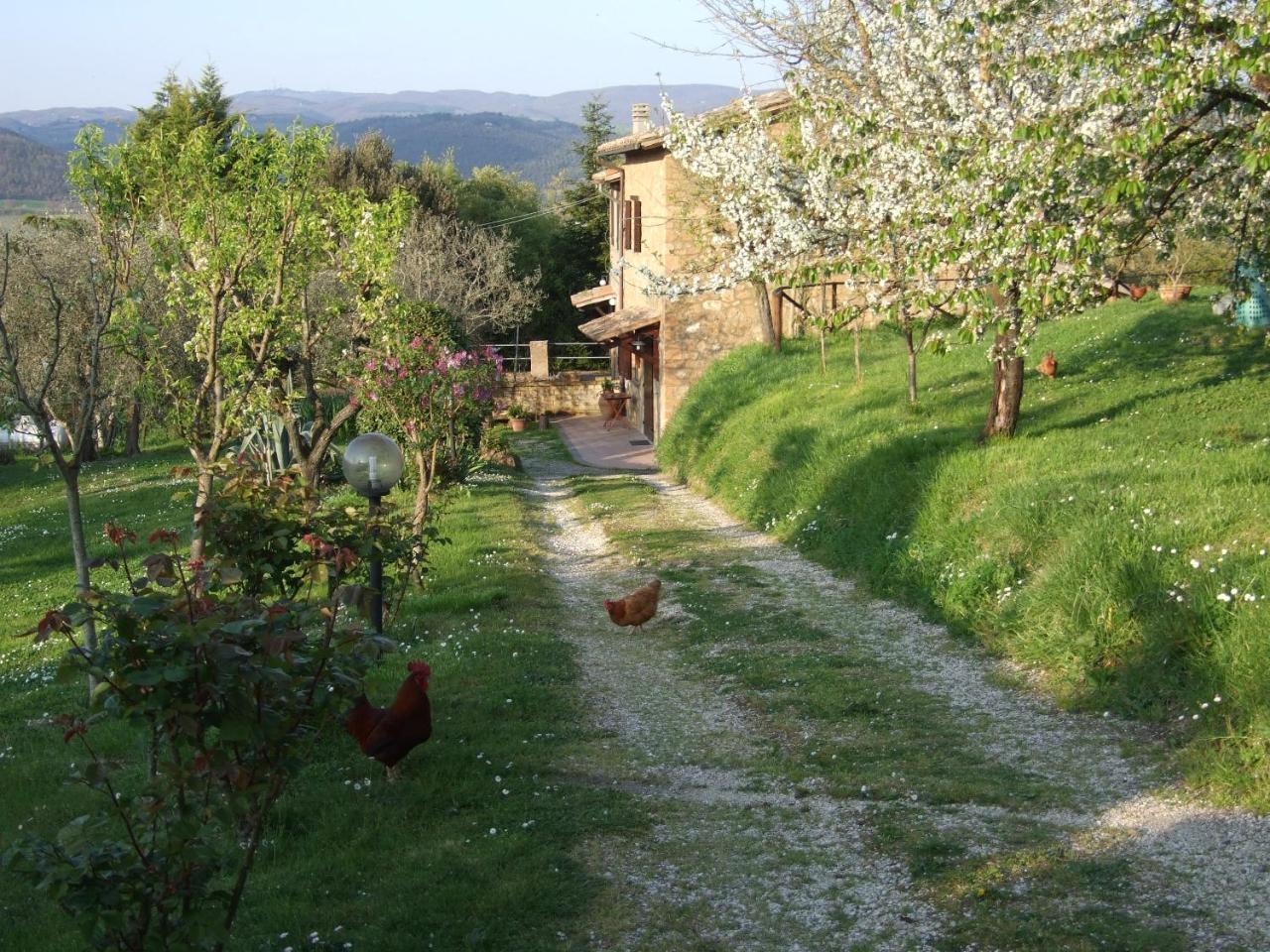 Podere la Vigna Locazione Turistica in Orvieto, Italy